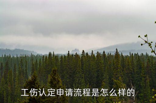 工傷認(rèn)定申請(qǐng)流程是怎么樣的