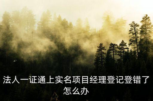 一證通官網，單位歷年社會保險核定表通過法人一證通在網上有查詢打印嗎