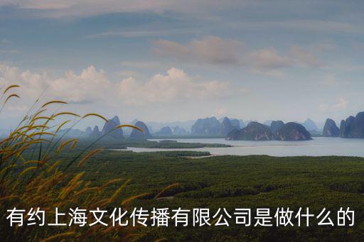 有約上海文化傳播有限公司是做什么的