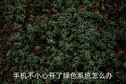 手機不小心開了綠色系統(tǒng)怎么辦