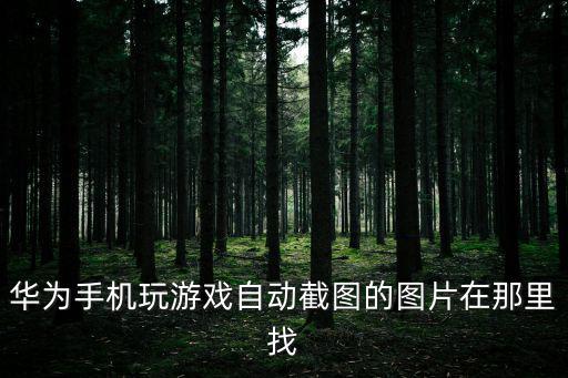 華為手機玩游戲自動截圖的圖片在那里找