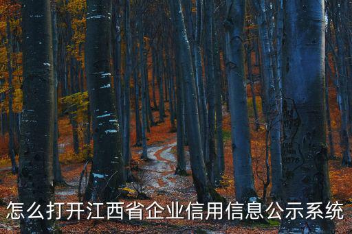怎么打開江西省企業(yè)信用信息公示系統(tǒng)