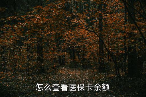 怎么查看醫(yī)?？ㄓ囝~