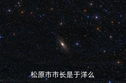 松原市市長是于洋么