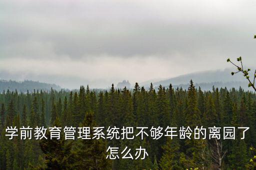 學(xué)前教育系統(tǒng)，學(xué)前教育系統(tǒng)身份證無(wú)學(xué)籍怎么辦