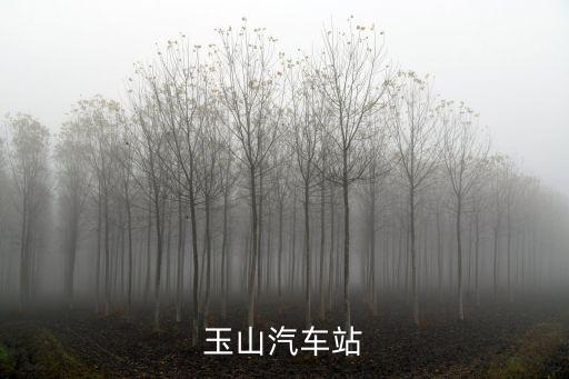 玉山汽車站