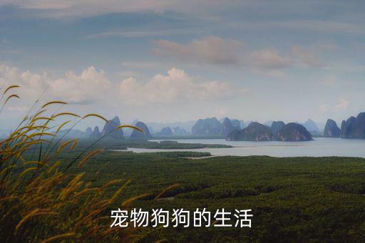 寵物生活，寵物怎樣生活啊