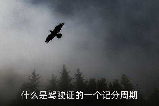 什么是駕駛證的一個記分周期