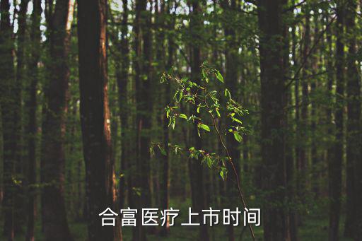 合富醫(yī)療上市時間