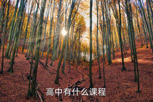 高中有什么課程