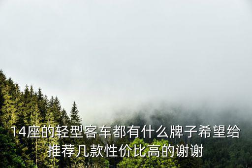 14座的輕型客車都有什么牌子希望給推薦幾款性價比高的謝謝