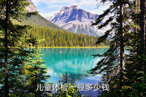 兒童入園體檢多少錢，小孩入園體檢檢查什么大概多少錢