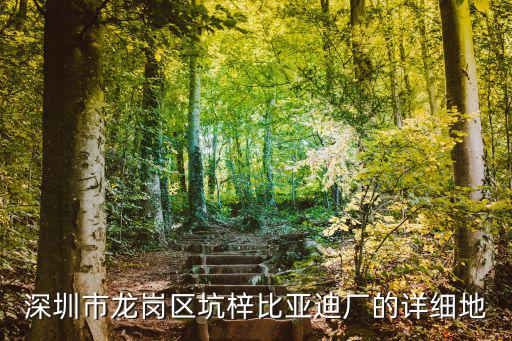深圳市龍崗區坑梓比亞迪廠的詳細地