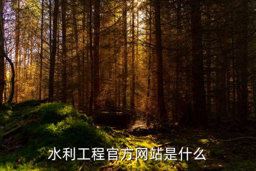 水利工程官方網(wǎng)站是什么