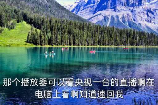 那個(gè)播放器可以看央視一臺的直播啊在電腦上看啊知道速回我