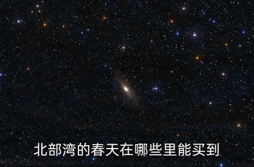 北部灣的春天在哪些里能買到