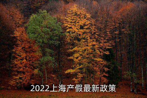 最新產假，深圳產假2022最新政策