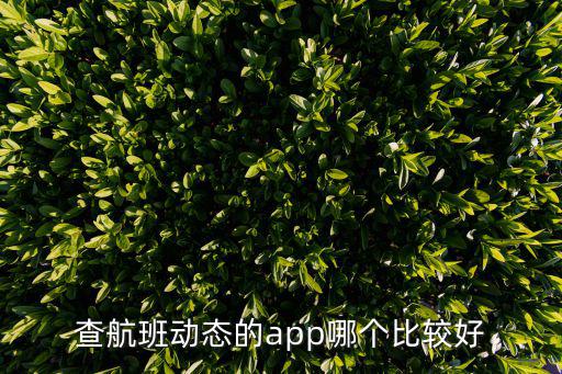 查航班動態的app哪個比較好