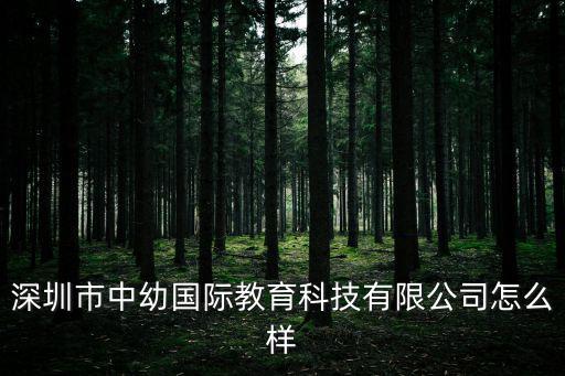 深圳市中幼國際教育科技有限公司怎么樣