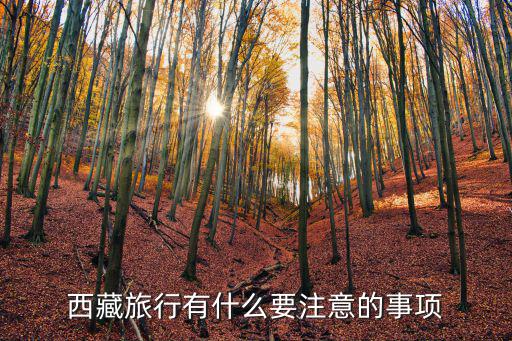 西藏旅行有什么要注意的事項