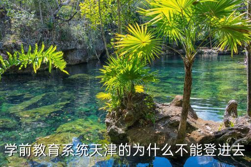 學前教育系統(tǒng)天津的為什么不能登進去