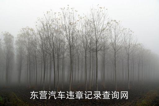 東營汽車違章記錄查詢網(wǎng)