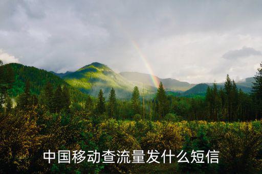 中國移動查流量發什么短信