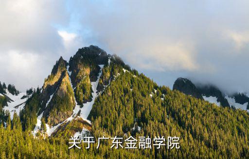 關于廣東金融學院
