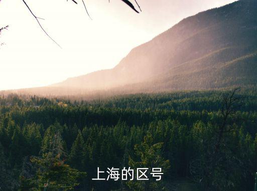上海的區號