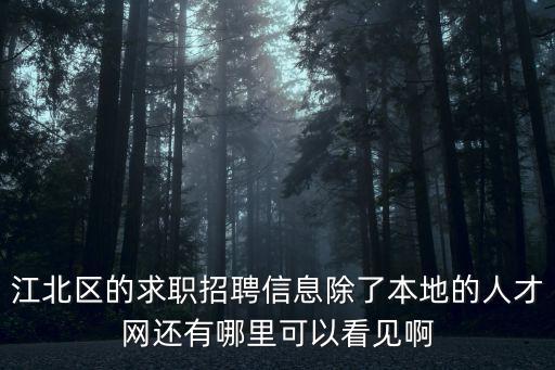 江北區(qū)的求職招聘信息除了本地的人才網(wǎng)還有哪里可以看見啊