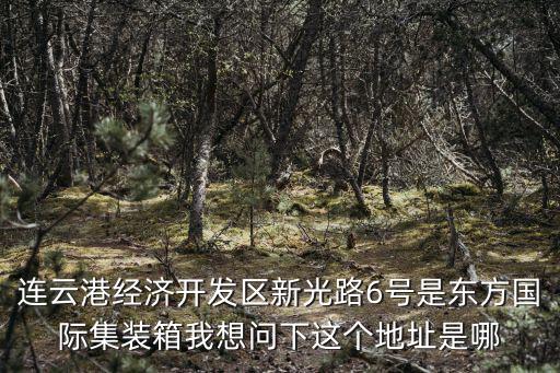 連云港經濟開發區新光路6號是東方國際集裝箱我想問下這個地址是哪