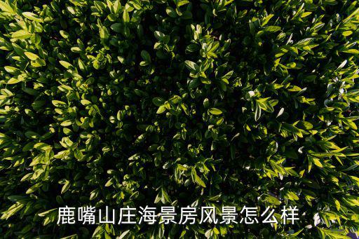 鹿嘴山莊海景房風景怎么樣