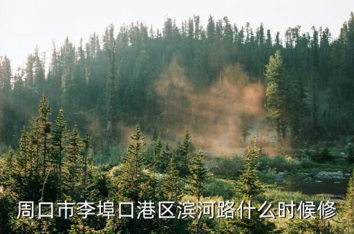 濱河路，周口市李埠口港區(qū)濱河路什么時候修