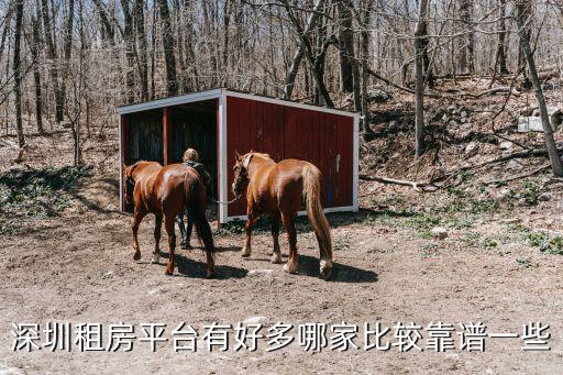 深圳租房信息，深圳發布租房信息的網站有哪些