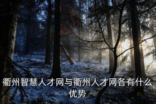 衢州智慧人才網(wǎng)與衢州人才網(wǎng)各有什么優(yōu)勢