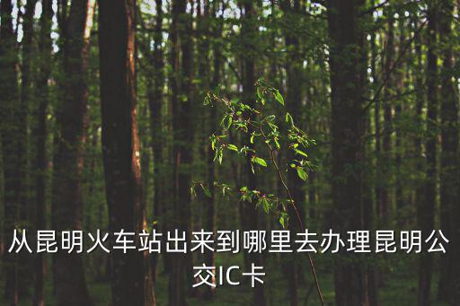 從昆明火車站出來到哪里去辦理昆明公交IC卡