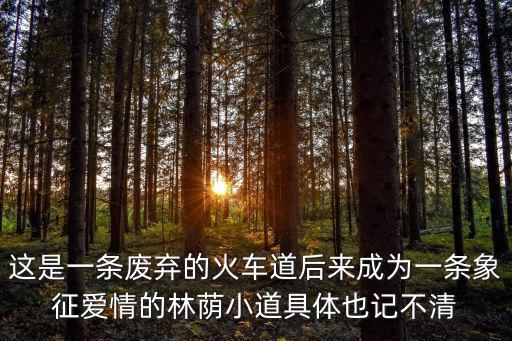 這是一條廢棄的火車道后來(lái)成為一條象征愛情的林蔭小道具體也記不清