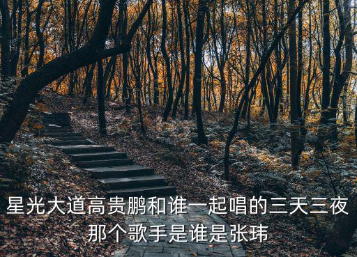 星光大道高貴鵬和誰一起唱的三天三夜那個歌手是誰是張瑋
