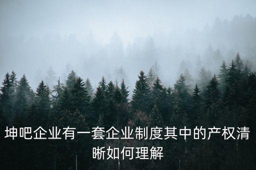 坤吧企業有一套企業制度其中的產權清晰如何理解
