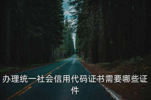 辦理統(tǒng)一社會(huì)信用代碼證書需要哪些證件
