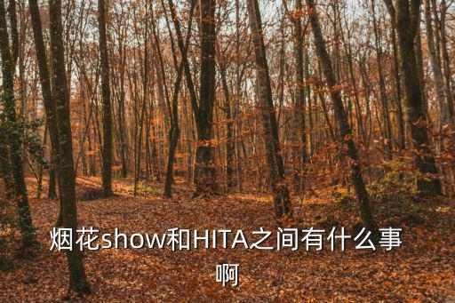 煙花秀，蕪湖方特圣誕節(jié)夜場有煙花秀嗎
