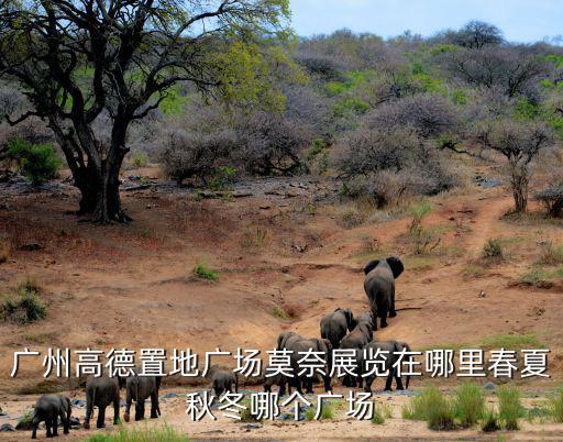 廣州高德置地廣場莫奈展覽在哪里春夏秋冬哪個(gè)廣場