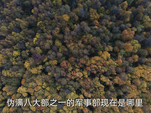 偽滿八大部之一的軍事部現在是哪里