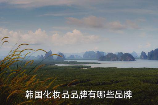 韓國化妝品牌，韓國化妝品品牌有哪些品牌