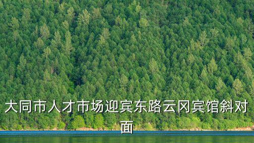 大同市人才市場迎賓東路云岡賓館斜對面