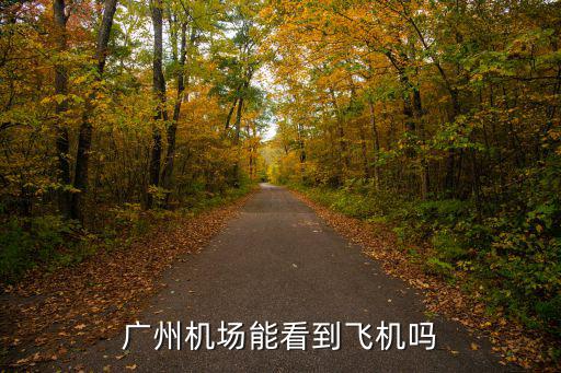 廣州機場能看到飛機嗎