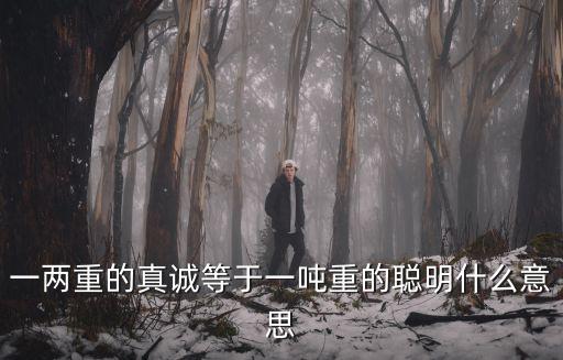 一兩重的真誠等于一噸重的聰明什么意思