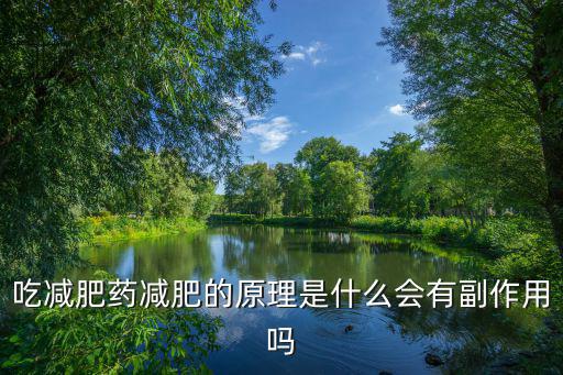 吃減肥藥減肥的原理是什么會有副作用嗎