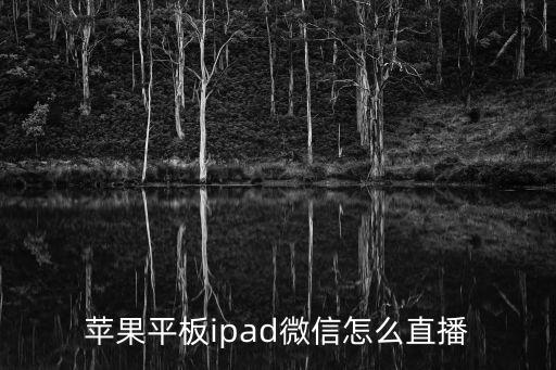 蘋果平板ipad微信怎么直播