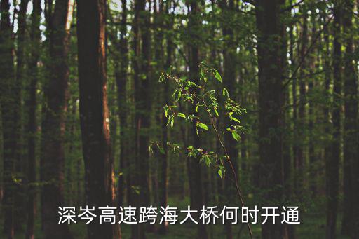 深岑高速跨海大橋何時(shí)開通